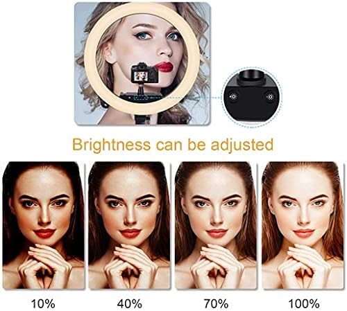 Ring Fill Light LED CXB-460 18Inches (45CM)