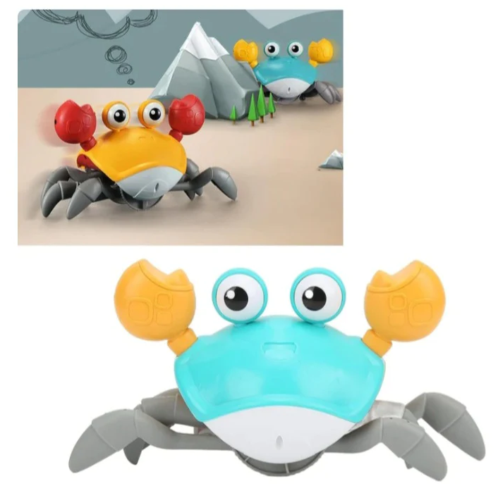Crawling Crab Toy