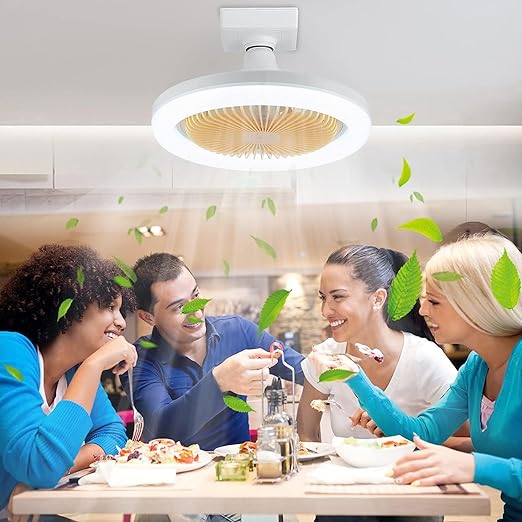 Modern Ceiling Fan with Light 2-In-1 Low Profile Ceiling Fans 24CM