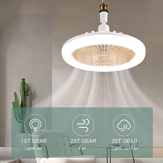 Modern Ceiling Fan with Light 2-In-1 Low Profile Ceiling Fans 24CM