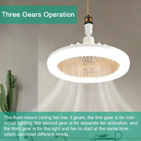 Modern Ceiling Fan with Light 2-In-1 Low Profile Ceiling Fans 24CM