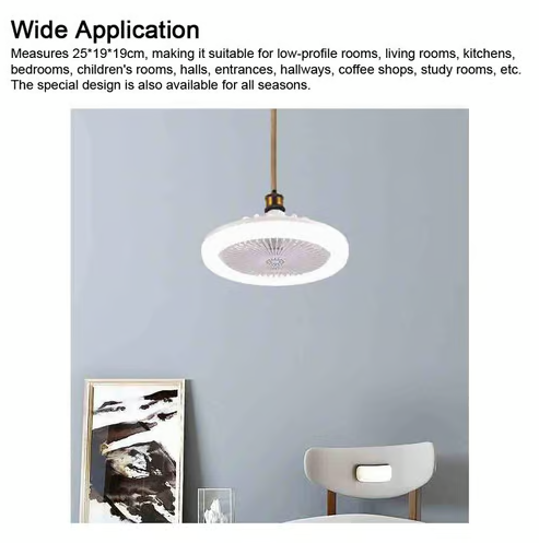 Modern Ceiling Fan with Light 2-In-1 Low Profile Ceiling Fans 24CM
