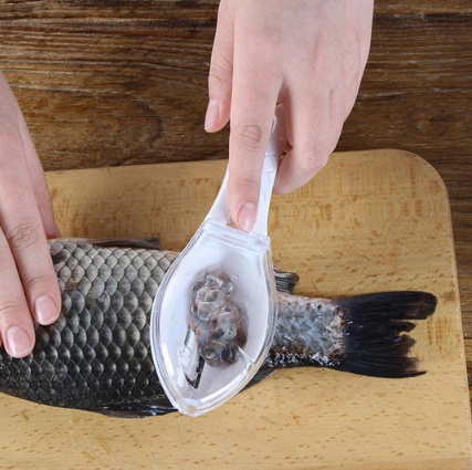 Plastic Fish Scaler