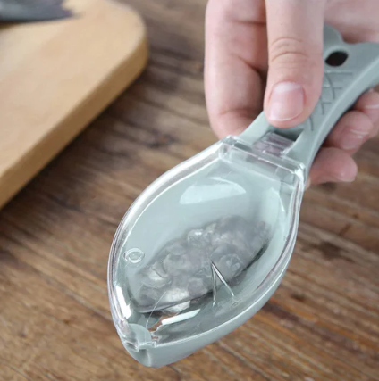 Plastic Fish Scaler