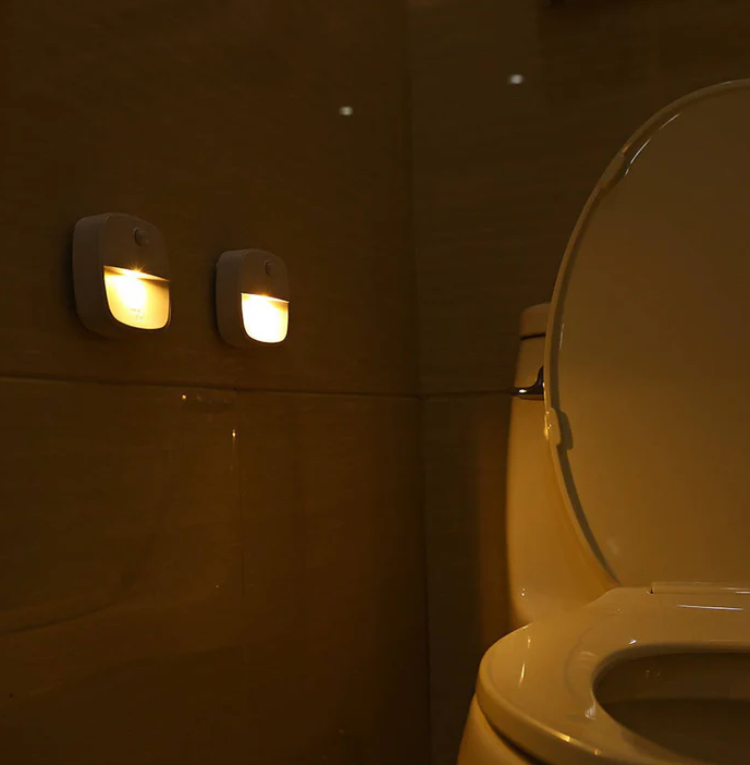 Motion Sensor Light