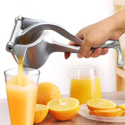 Fruit Stainless Steel Manual Juicer Press