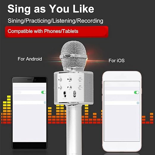 Wireless Microphone Hifi Speaker Handhled KTv WS-858