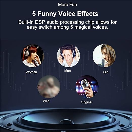 Wireless Microphone Hifi Speaker Handhled KTv WS-858