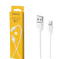 Cable USB to Lightning/TYPE-C/MICRO BOROFONE BX19