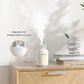 3 In 1 Gas Tank Humidifier, USB Fan, LED Light