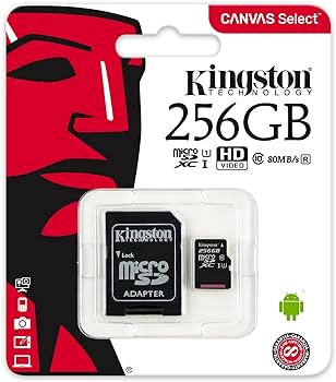 Memory Card Kingiston (SD+MicroSD) 256 GB
