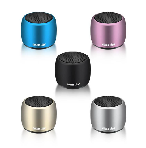 Mini Speaker Green Lion