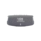JBL Charge 5 Wireless Speaker