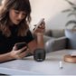 Mini Speaker Green Lion