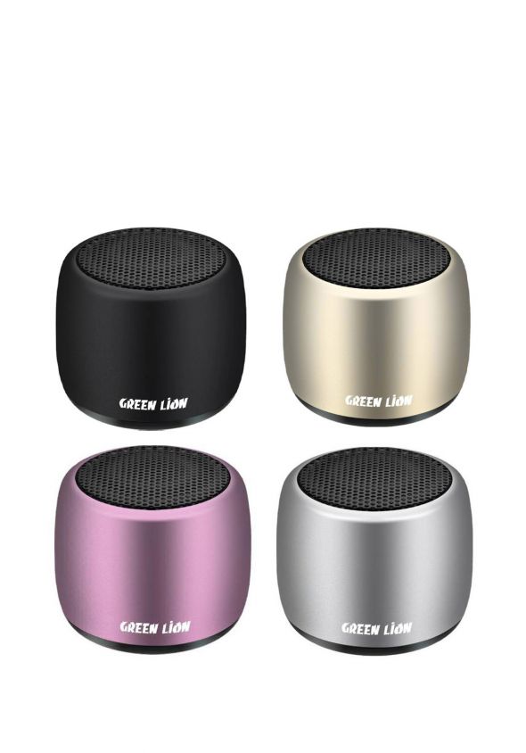 Mini Speaker Green Lion