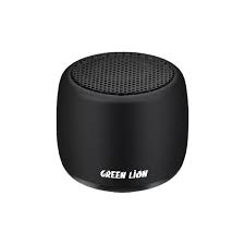 Mini Speaker Green Lion