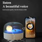 MOON SPEAKER