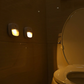 Motion Sensor Light
