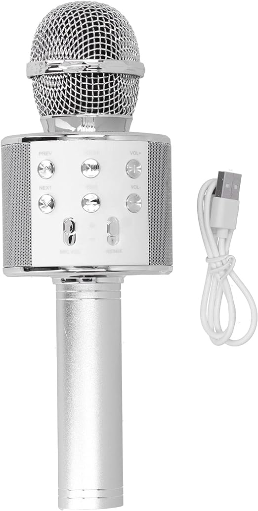 Wireless Microphone Hifi Speaker Handhled KTv WS-858