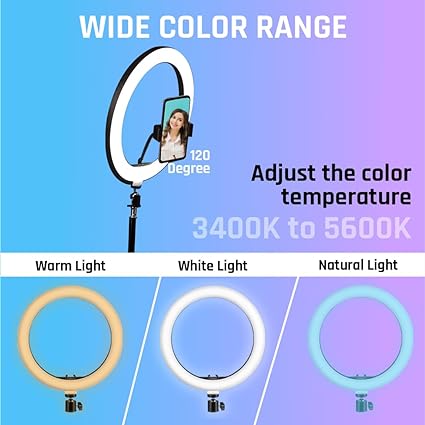 Ring Fill Light ZMX-260 26CM
